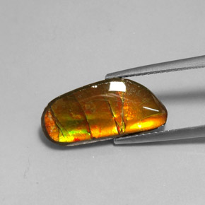 Ammolite multicolore naturelle forme fantaisie, 3,60 ct, opaque