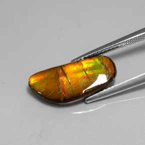 Ammolite multicolore naturelle forme fantaisie, 3,60 ct, opaque
