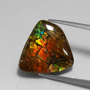 Ammolite Multicolore naturelle Forme fantaisie, 11.39 ct, Opaque