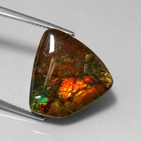 Ammolite Multicolore naturelle Forme fantaisie, 11.39 ct, Opaque