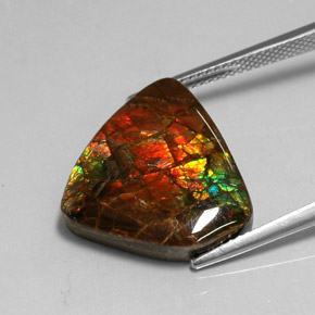 Ammolite Multicolore naturelle Forme fantaisie, 11.39 ct, Opaque