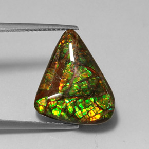 Ammolite Multicolore naturelle Forme fantaisie, 7.79 ct, Opaque