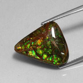 Ammolite Multicolore naturelle Forme fantaisie, 7.79 ct, Opaque