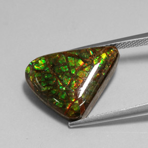 Ammolite Multicolore naturelle Forme fantaisie, 7.79 ct, Opaque