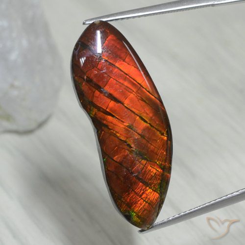 Ammolite Multicolore naturelle Fantaisie, 15.54 ct, Opaque