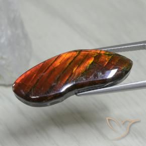 Ammolite Multicolore naturelle Fantaisie, 15.54 ct, Opaque
