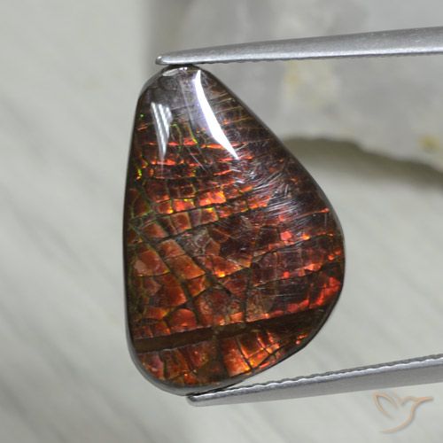 8.09ct Naturel Multicolore Ammolite, Fantaisie, Opaque