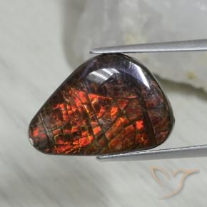 Ammolite Multicolore naturelle Fantaisie, 8.09 ct, Opaque