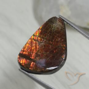 Ammolite Multicolore naturelle Fantaisie, 8.09 ct, Opaque