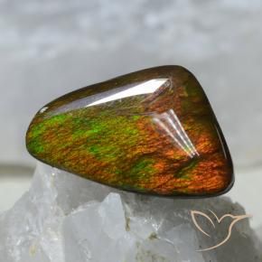 Ammolite Multicolore naturelle Fantaisie, 8.89 ct, Opaque