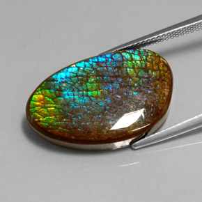 Ammolite Multicolore naturelle Forme fantaisie, 16.45 ct, Opaque