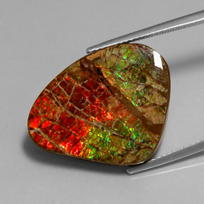 Ammolite multicolore naturelle forme fantaisie, 17,71 ct, opaque