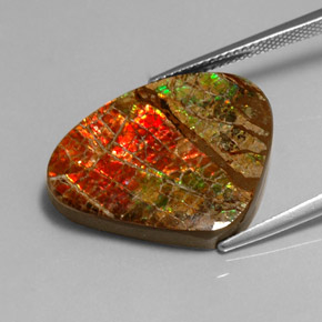 Ammolite multicolore naturelle forme fantaisie, 17,71 ct, opaque