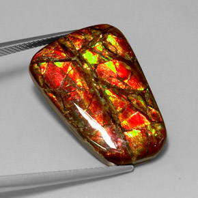 Ammolite multicolore naturelle forme fantaisie, 18,54 ct, opaque