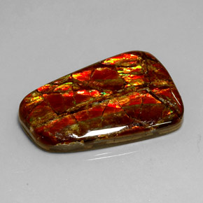 Ammolite multicolore naturelle forme fantaisie, 18,54 ct, opaque