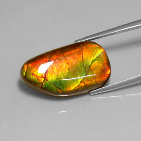 Ammolite Multicolore naturelle Forme fantaisie, 10.78 ct, Opaque