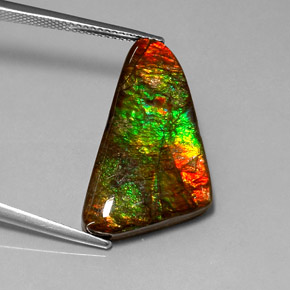 Ammolite Multicolore naturelle Forme fantaisie, 12.85 ct, Opaque