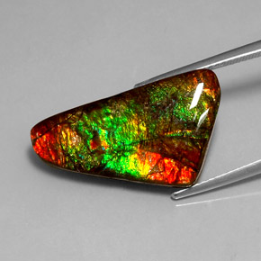 Ammolite Multicolore naturelle Forme fantaisie, 12.85 ct, Opaque