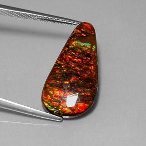 Ammolite Multicolore naturelle En forme de poire, 9.52 ct, Opaque