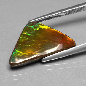 Ammolite multicolore naturelle forme fantaisie, 6,98 ct, opaque