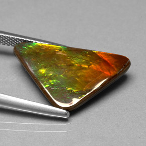 Ammolite multicolore naturelle forme fantaisie, 6,98 ct, opaque