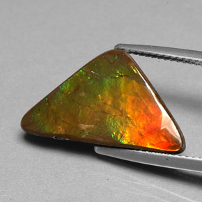 Ammolite multicolore naturelle forme fantaisie, 6,98 ct, opaque