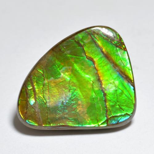 Ammolite multicolore naturelle forme fantaisie, 7,29 ct, opaque
