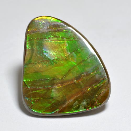 Ammolite multicolore naturelle forme fantaisie, 7,29 ct, opaque