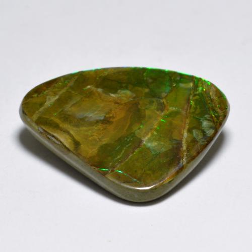 Ammolite multicolore naturelle forme fantaisie, 7,29 ct, opaque