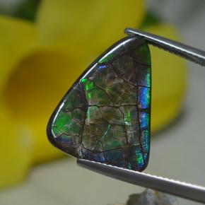 Ammolite Multicolore naturelle Forme fantaisie, 8.51 ct, Opaque