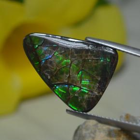 Ammolite Multicolore naturelle Forme fantaisie, 8.51 ct, Opaque