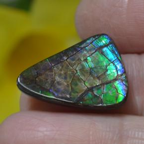 Ammolite Multicolore naturelle Forme fantaisie, 8.51 ct, Opaque