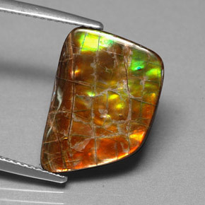 Ammolite Multicolore naturelle Forme fantaisie, 6.82 ct, Opaque