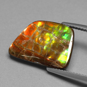 Ammolite Multicolore naturelle Forme fantaisie, 6.82 ct, Opaque