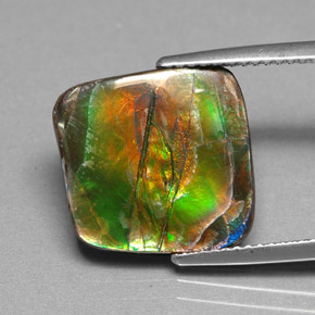 Ammolite Multicolore naturelle Forme fantaisie, 6.25 ct, Opaque