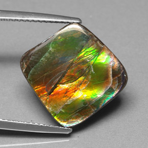Ammolite Multicolore naturelle Forme fantaisie, 6.25 ct, Opaque