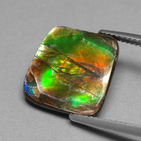 Ammolite Multicolore naturelle Forme fantaisie, 6.25 ct, Opaque
