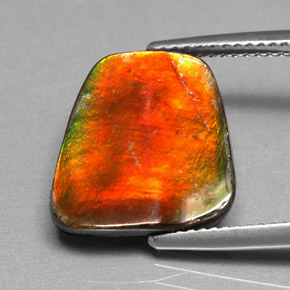 Ammolite multicolore naturelle forme fantaisie, 5,17 ct, opaque
