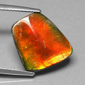 Ammolite multicolore naturelle forme fantaisie, 5,17 ct, opaque