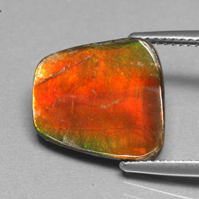 Ammolite multicolore naturelle forme fantaisie, 5,17 ct, opaque