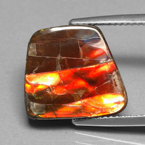 Ammolite multicolore naturelle forme fantaisie, 6,70 ct, opaque