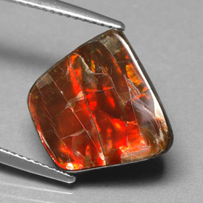 Ammolite multicolore naturelle forme fantaisie, 6,70 ct, opaque