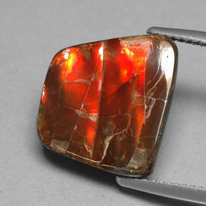 Ammolite multicolore naturelle forme fantaisie, 6,70 ct, opaque