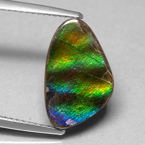 Ammolite Multicolore naturelle Forme fantaisie, 4.54 ct, Opaque