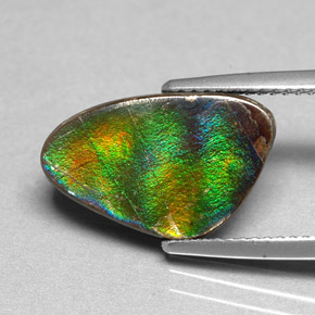 Ammolite Multicolore naturelle Forme fantaisie, 4.54 ct, Opaque