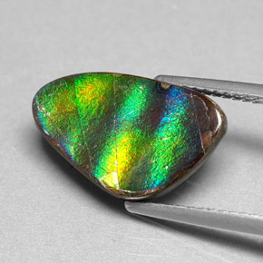 Ammolite Multicolore naturelle Forme fantaisie, 4.54 ct, Opaque