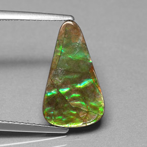 Ammolite multicolore naturelle forme fantaisie, 2,40 ct, opaque