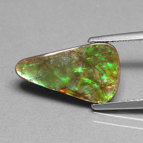 Ammolite multicolore naturelle forme fantaisie, 2,40 ct, opaque