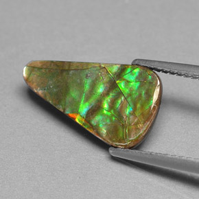 Ammolite multicolore naturelle forme fantaisie, 2,40 ct, opaque