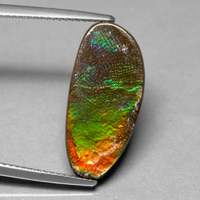 Ammolite Multicolore naturelle Forme fantaisie, 6.03 ct, Opaque